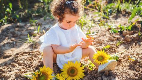 Criança sorridente em retrato individual durante sessão de fotos familiar. Menina em campo de girassóis com expressão alegre e natural. Fotografia profissional capturando personalidade infantil em ambiente rural com iluminação solar perfeita.'