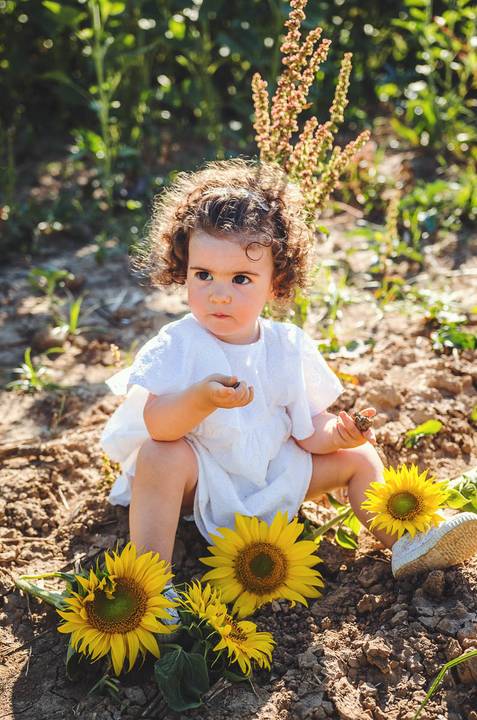 Menina pequena em retrato individual rodeada de girassóis em sessão profissional. Criança em ambiente rural natural com foco em expressão facial feliz. Fotografia artística capturando beleza infantil em composição cuidadosamente enquadrada.'