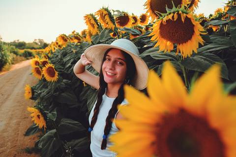 Mulher sorridente entre girassóis gigantes ao pôr do sol'