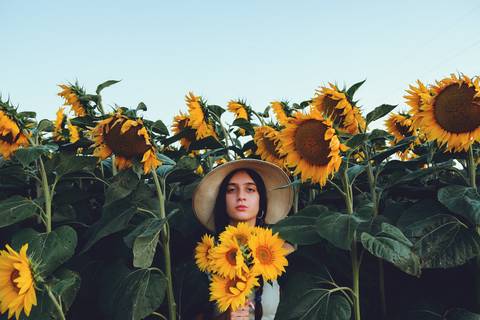 Mulher jovem entre girassóis em pose natural com luz de fim de tarde'