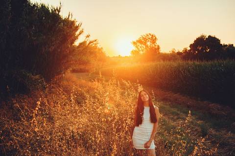 Luz dourada do pôr do sol iluminando campo rural de girassóis'