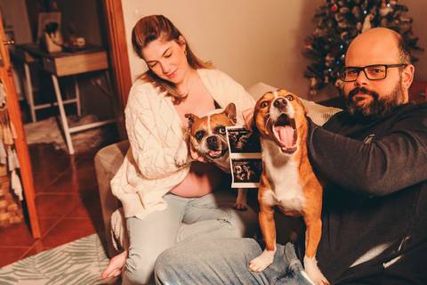 Retrato de gravidez em ambiente aconchegante com casal e cachorro - Fotografia de gravidez profissional Duo Capuano, Golegã'