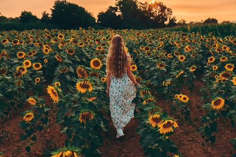 Mulher com cabelo comprido em vestido floral em um campo de girassóis'