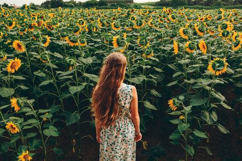 Mulher em vestido floral em trilha natural entre flores amarelas - Fotografia Duo Capuano, Riachos'