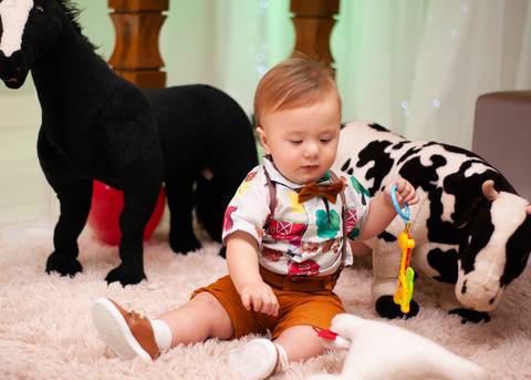 Germano - 1 Aninho
Fotografia Aniversário Infantil
Tassoni Festas e Eventos
Arroio dos Ratos/RS'