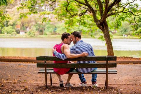 sentados na arvore, ensaio romantico casal lgbt no parque do ibirapuera em sao paulo, pedido de namoro gay, nolago'