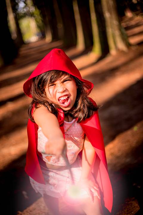 ensaio infantil no horto florestal em sao paulo fada fantasia tematico familia'