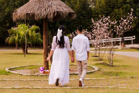 Foto de um casal caminhando de costas em um parque, com flores ao fundo'