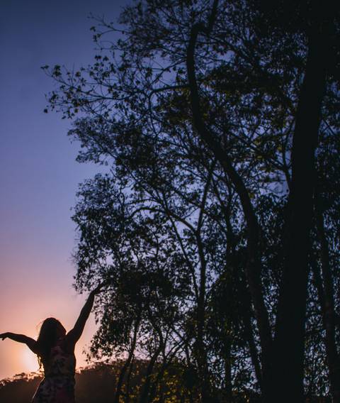Fotografia Pessoal Feminina
Horto Florestal
Alegre
Espírito Santo
Mary Santtiago
Fotografia'