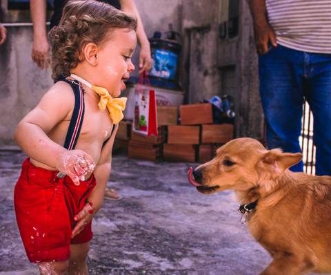 Cachorrinha tentando lamber a mão do bebê cheia de bolo do Ensaio Smash the Cake feito em Suzano SP'