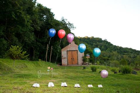 Foto de gestante na natureza'