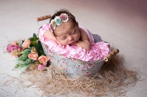 Ensaio de recém-nascido em Londrina'