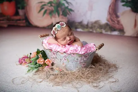 Ensaio de recém-nascido em Londrina'