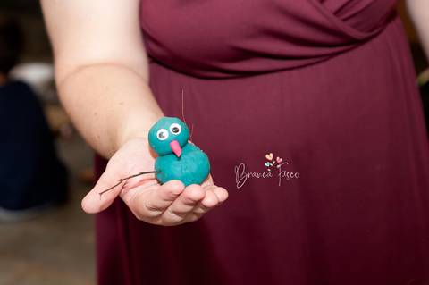 festa infantil de gêmeos'