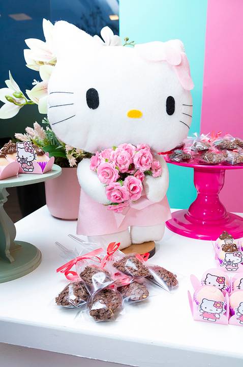 festa infantil londrina'