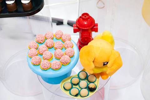 festa infantil Londrina Branca Fusco Fotografia'