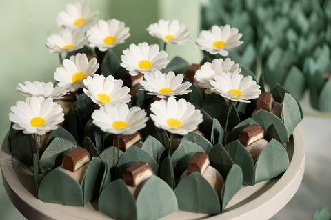 festa de aniversário de 1 ano'