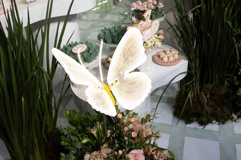 festa de aniversário de 1 ano'