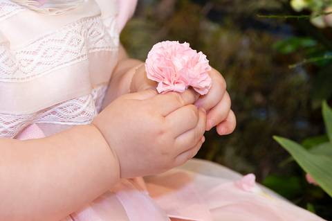 festa de aniversário de 1 ano'