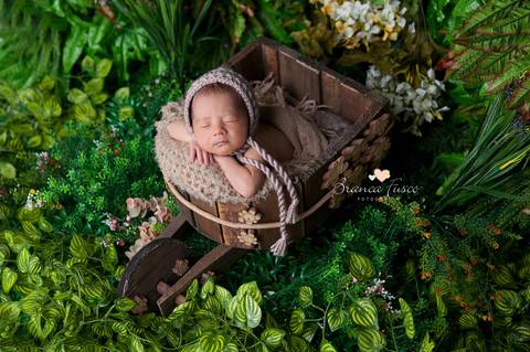 Fotos de recém-nascido'