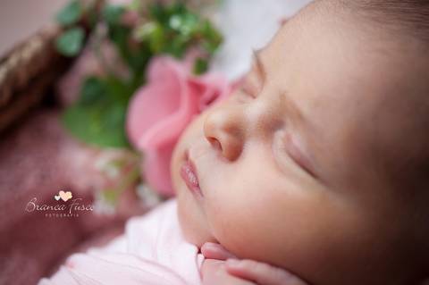 fotos de recém-nascido'