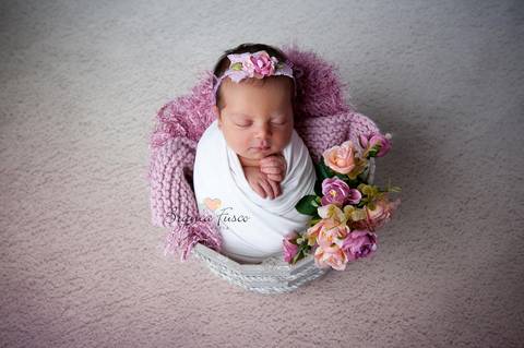 Book de Newborn'