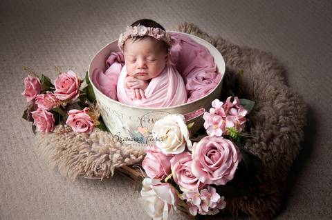 Book de Newborn'