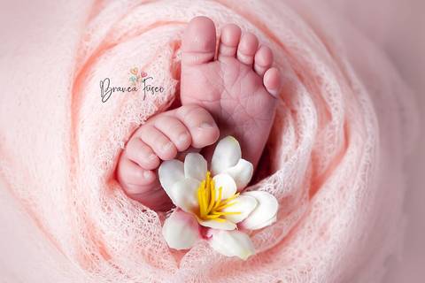 Sessão newborn em Londrina'