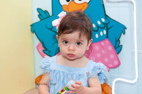 Festa de 1 ano de gêmeas em Londrina com a fotógrafa Branca Fusco'