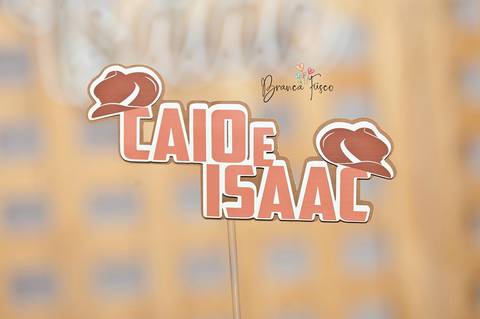 Festa infantil de gêmeos '