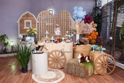 Festa infantil de gêmeos '