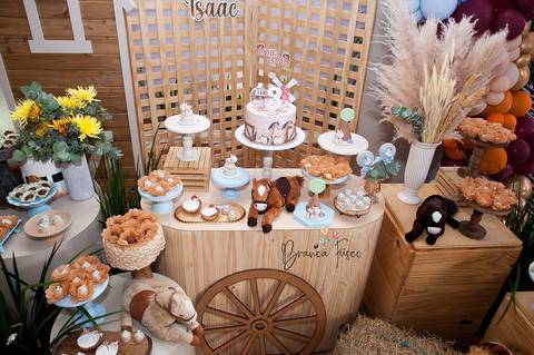 Festa infantil de gêmeos '