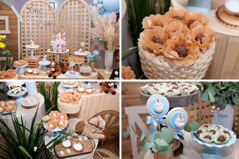 Festa infantil de gêmeos '