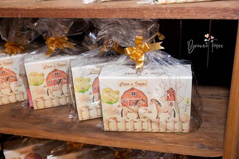 Festa infantil de gêmeos '