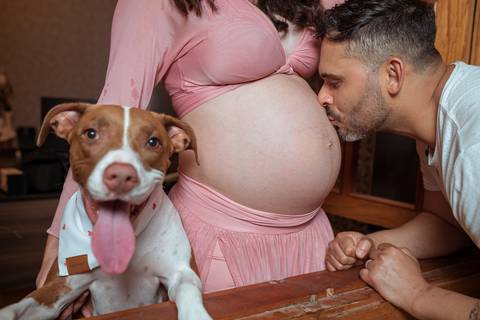 foto de gravida com o cachorro'
