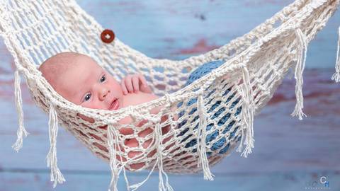 Newborn na rede'