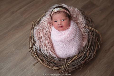 Newborn no ninho'