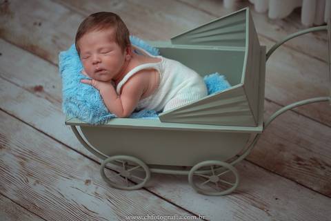 newborn no carrinho, gestante '