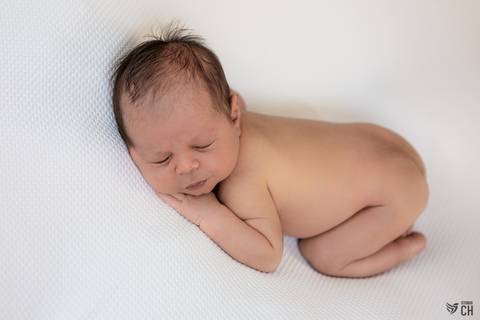 Newborn peladinho'