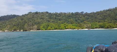 Fotos Guia Francisco 21 986065174'