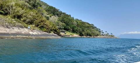 Fotos Guia Francisco 21 986065174'