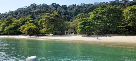 Fotos Guia Francisco 21 986065174'