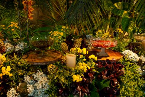 Ensaios e cobertura fotográfica de aniversários em São Sebastião do Anta – Transforme seu evento em lembranças eternas.'