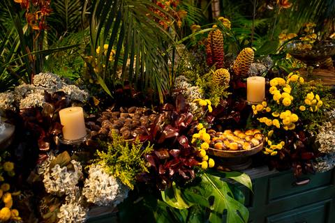 Fotógrafo especializado em aniversários em São Domingos das Dores – Imagens que contam a sua história com sensibilidade e profissionalismo.'