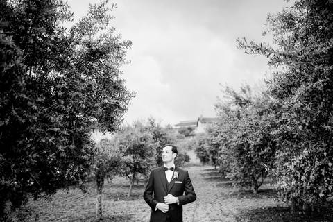 Fotografia de noivo em preto e branco, captada num campo de oliveiras. Uma imagem clássica e elegante que destaca o noivo com um cenário natural. Noivo, Preto e branco, Fotografia de casamento,
Casamentos em Portugal'