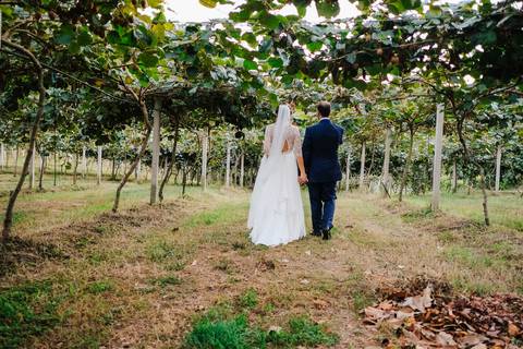 noivos caminham por campo de kiwis na quinta da torre'