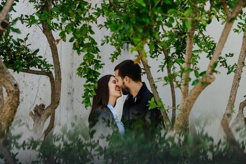 namorados beijam-se entre as árvores no porto'