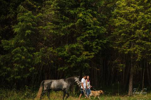 Fotógrafo de casamentos em Coimbra, Leiria, Aveiro.
Fotografia documental de casamento. Fotografia com emoção, paixão e sem poses. Imagens verdadeiras e cheias de amor.
Fotografamos em todo o país. Sessão Solteiros em São Caetano e na Costa Nova.'