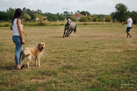 Fotógrafo de casamentos em Coimbra, Leiria, Aveiro.
Fotografia documental de casamento. Fotografia com emoção, paixão e sem poses. Imagens verdadeiras e cheias de amor.
Fotografamos em todo o país. Sessão Solteiros em São Caetano e na Costa Nova.'