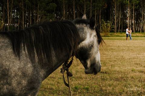 Fotógrafo de casamentos em Coimbra, Leiria, Aveiro.
Fotografia documental de casamento. Fotografia com emoção, paixão e sem poses. Imagens verdadeiras e cheias de amor.
Fotografamos em todo o país. Sessão Solteiros em São Caetano e na Costa Nova.'
